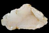 Gorgeous, Botryoidal Chalcedony Formation - Morocco #127991-1